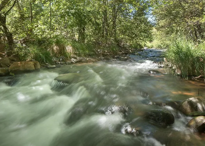 Elysian Escape Stunning Views Above-ground Private Trail To Creek Pet Family-friendly *