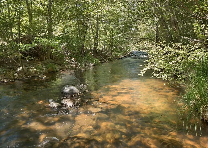 Holiday home Elysian Escape Stunning Views Above-ground Private Trail To Creek Pet Family-friendly Sedona